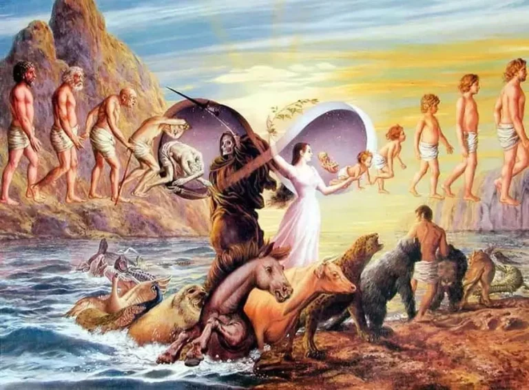 زندگی پس از مرگ چگونه است؟